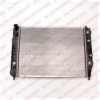 DELPHI RA10025 Radiator, engine cooling